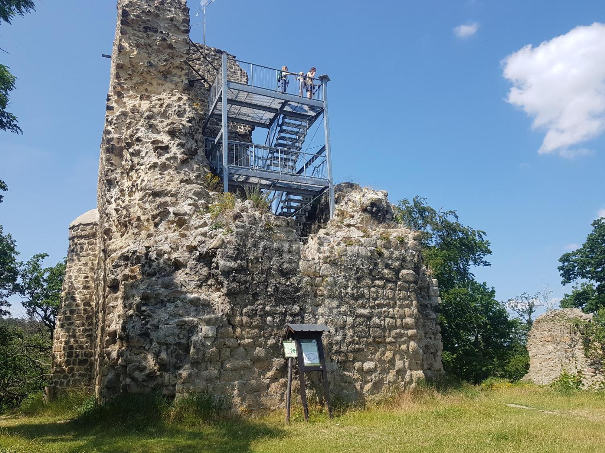 Ferienhaus Renate 7 Thale Buitenkant foto