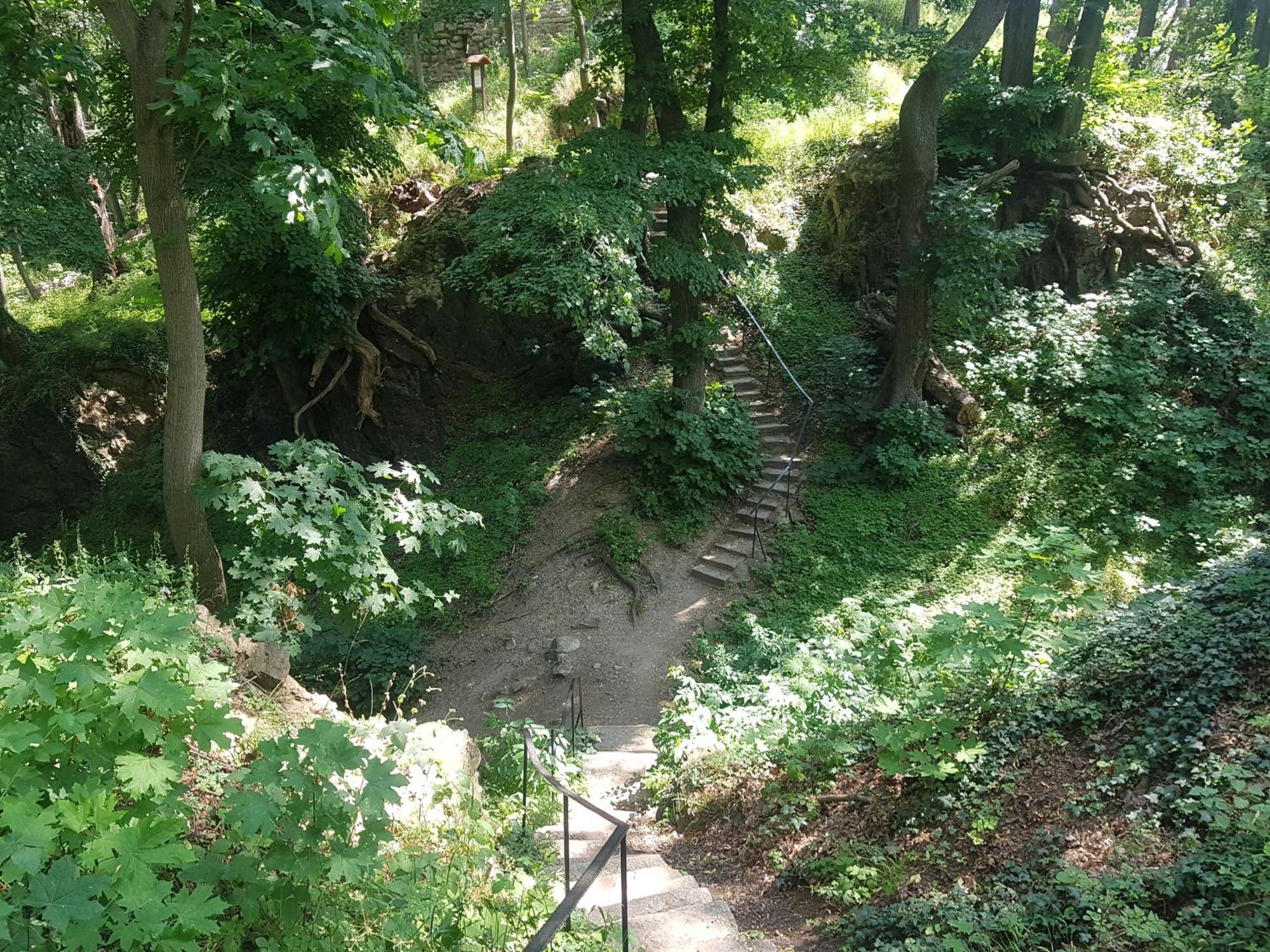 Ferienhaus Renate 7 Thale Buitenkant foto